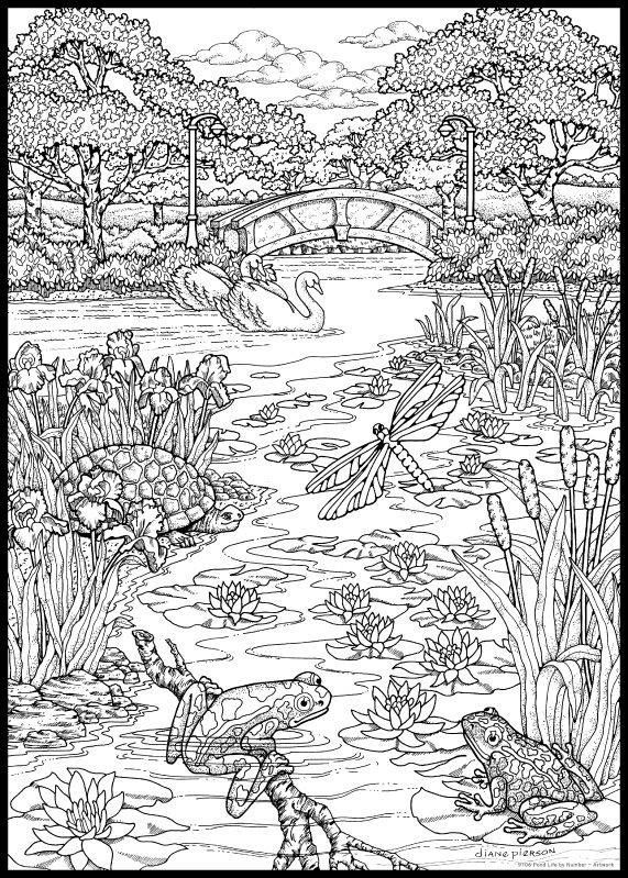 Featured image of post Animal Scenery Coloring Pages For Adults