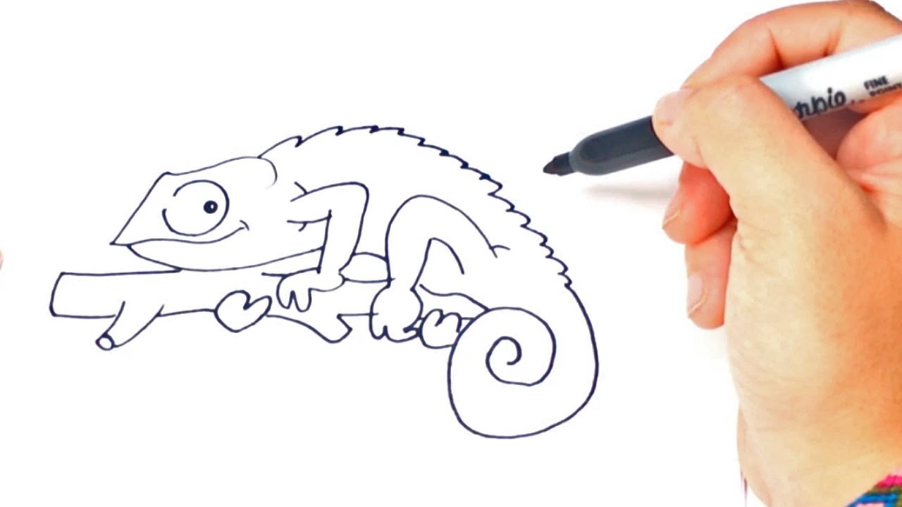 Featured image of post Chameleon Sketch Diagram