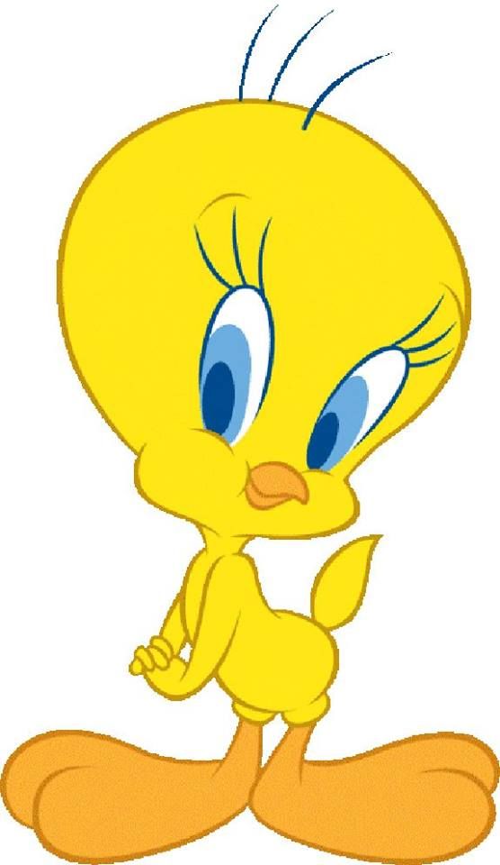 Featured image of post Dibujos De Piolin A Color