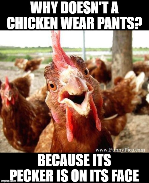 Featured image of post Funny Chicken Memes Dirty