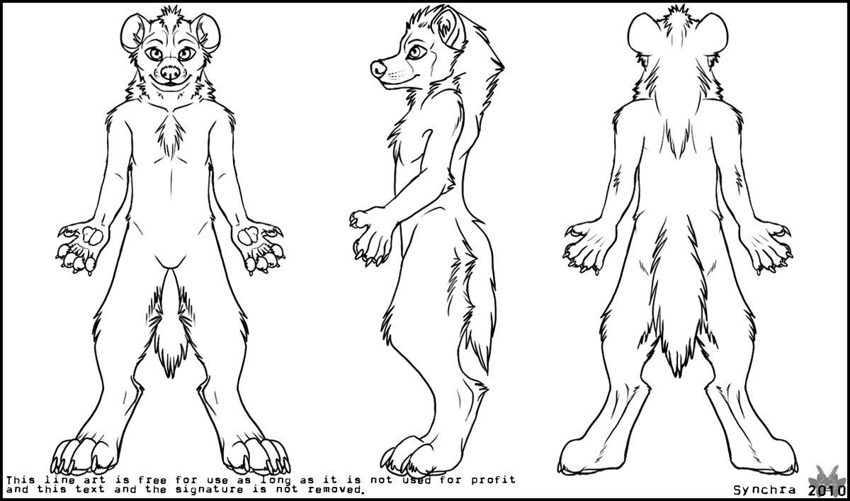 Featured image of post Hyena Furry Ref