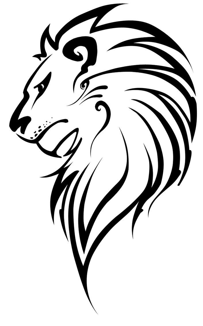 Featured image of post Lion Head Drawing Images