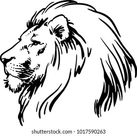 Featured image of post Lion Head Drawing Outline