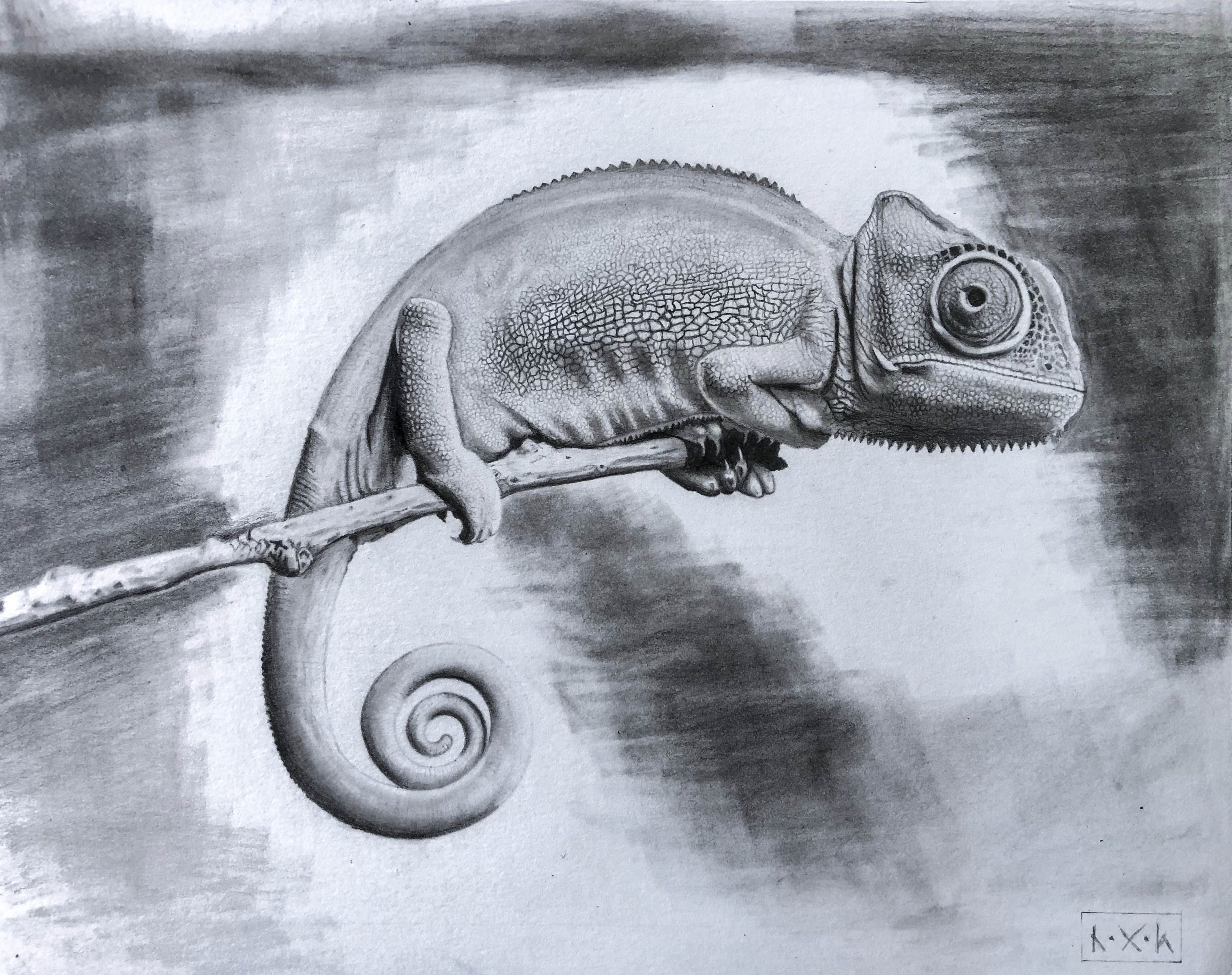 Featured image of post Pencil Chameleon Sketch