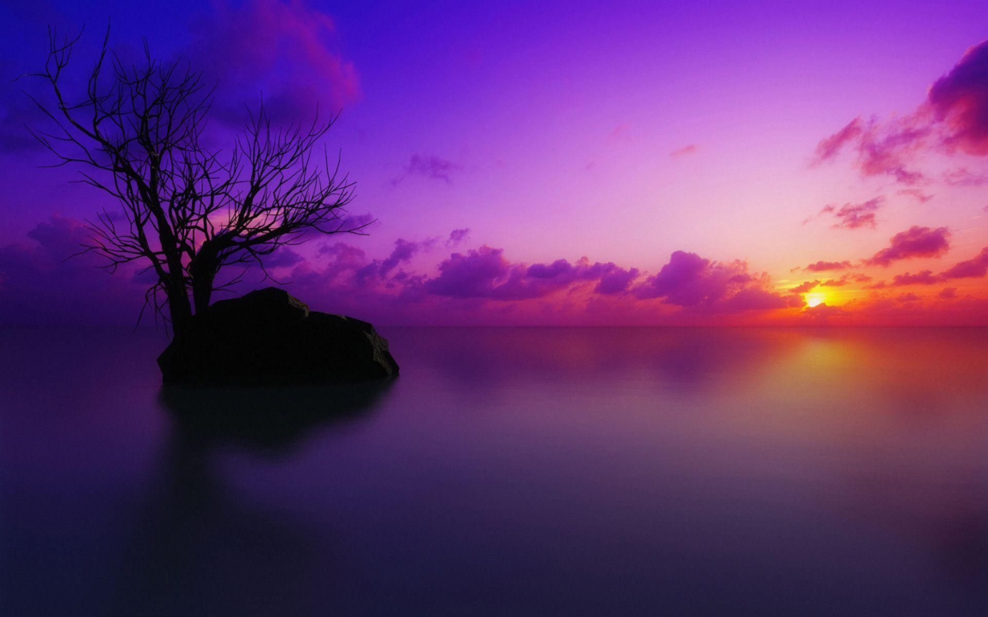 Featured image of post Purple Sunset Wallpaper Desktop