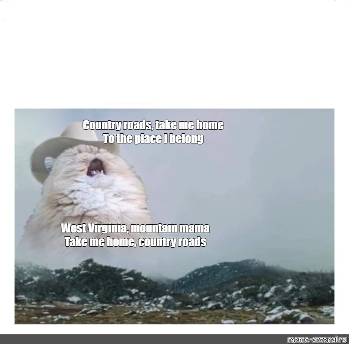 Featured image of post West Virginia Mountain Mama Cat Meme